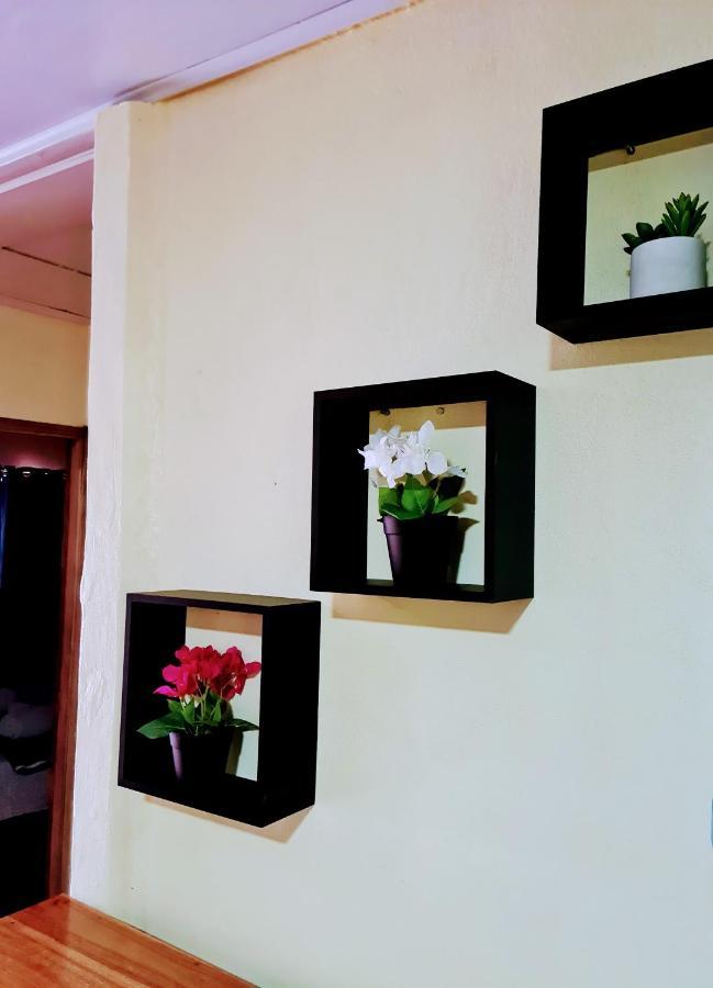 Jungle Beach Bungalow With Ac & Fiber Optic Puerto Viejo de Talamanca 外观 照片