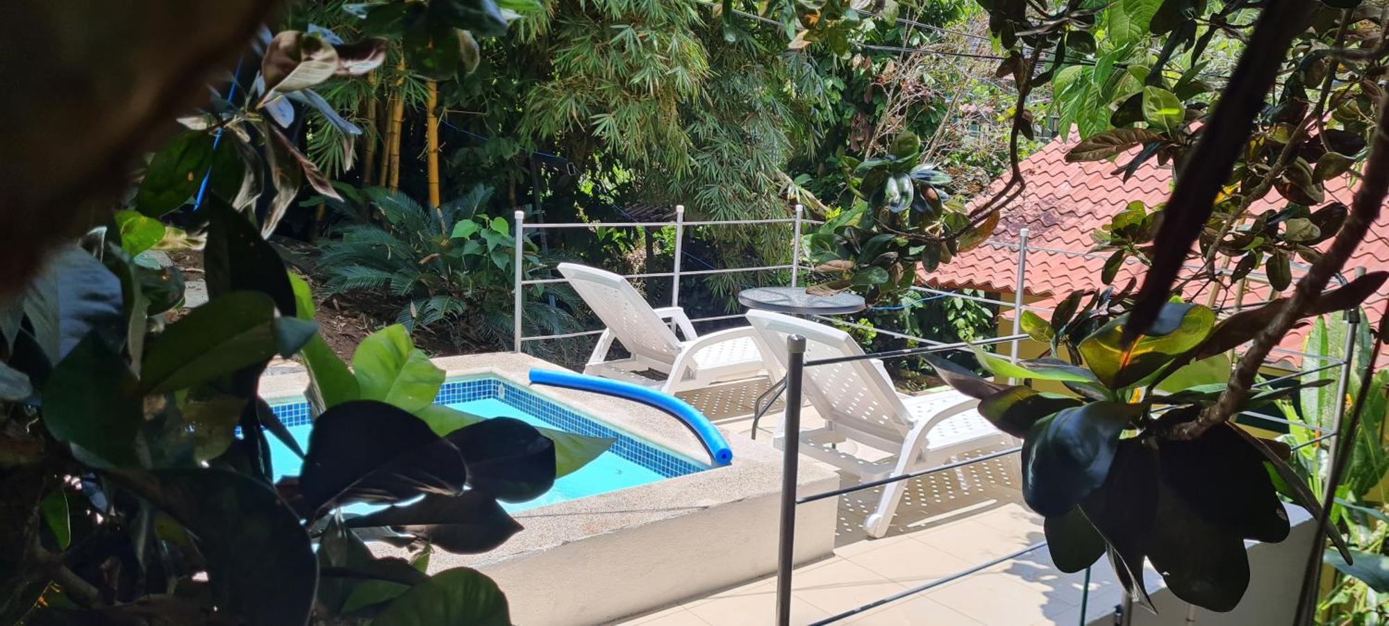 Jungle Beach Bungalow With Ac & Fiber Optic Puerto Viejo de Talamanca 外观 照片