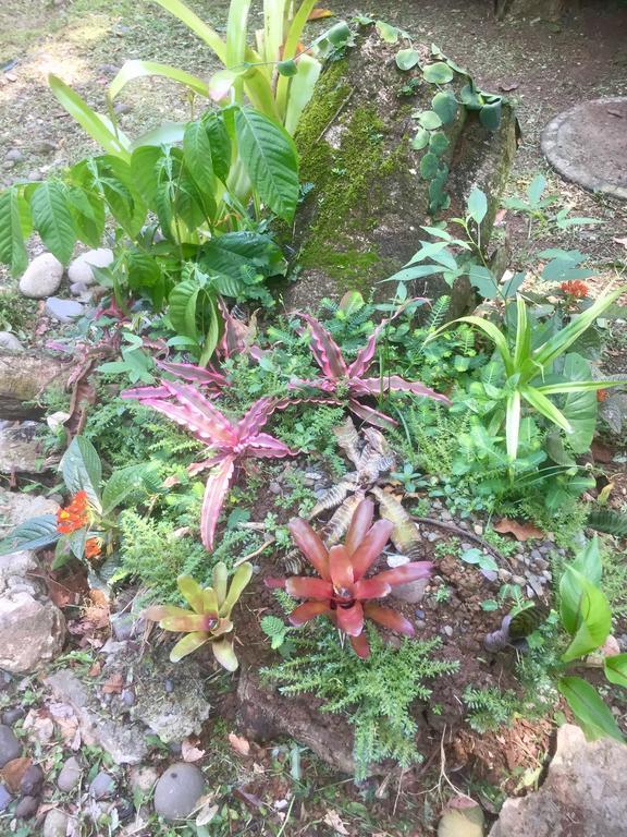Jungle Beach Bungalow With Ac & Fiber Optic Puerto Viejo de Talamanca 外观 照片